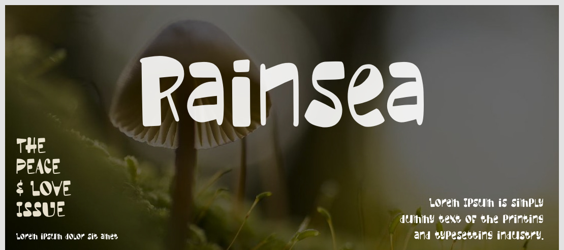 Image descriptive du font